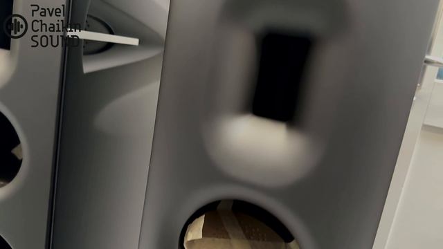 Borresen Z5 Cryo Прощание с легендой. Последняя пара
