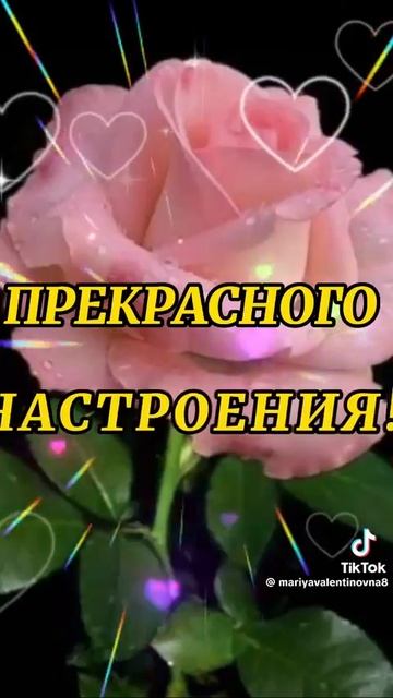 Video_10502409295279.mp4