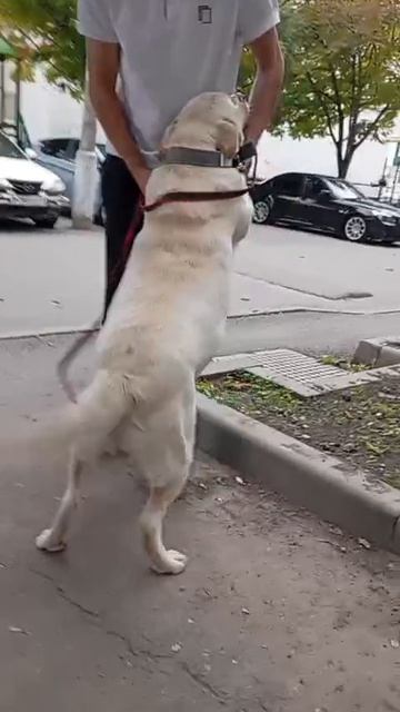 1000607616.mp4