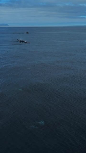 😏 Сахалин... он такой:
https://t.me/post_aleks/85