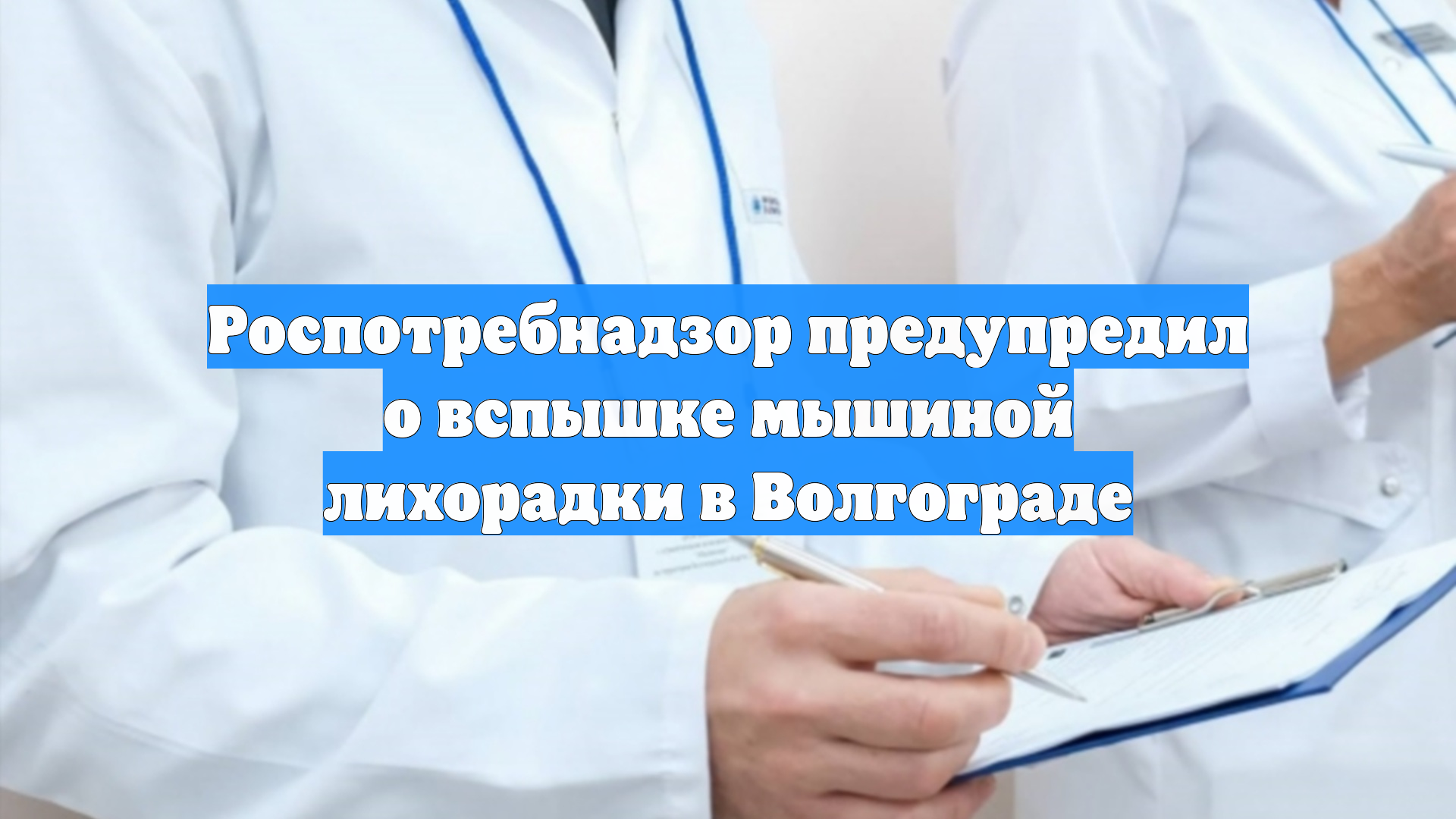 Роспотребнадзор предупредил о вспышке мышиной лихорадки в Волгограде