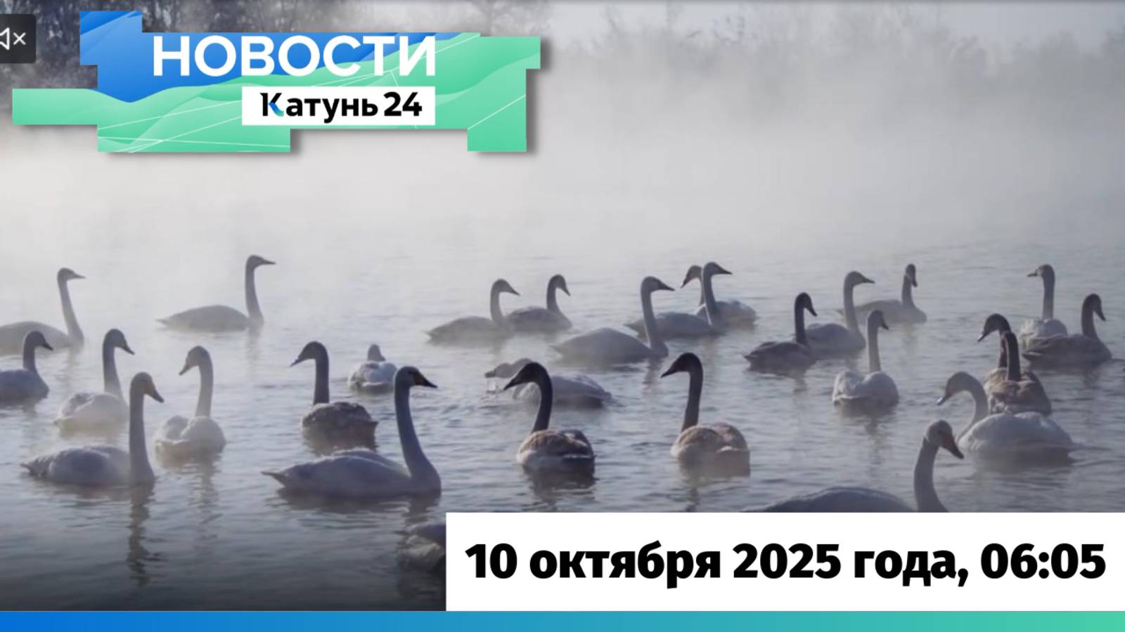 Новости Алтайского края 10 октября 2025 года, выпуск в 6:05