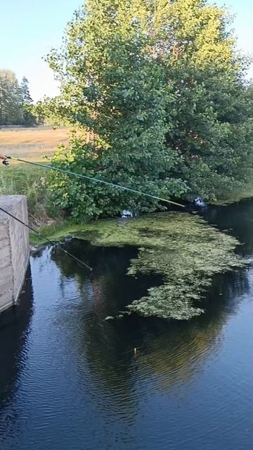Съездили на рыбалку 🎣 на велосипеде 🚴