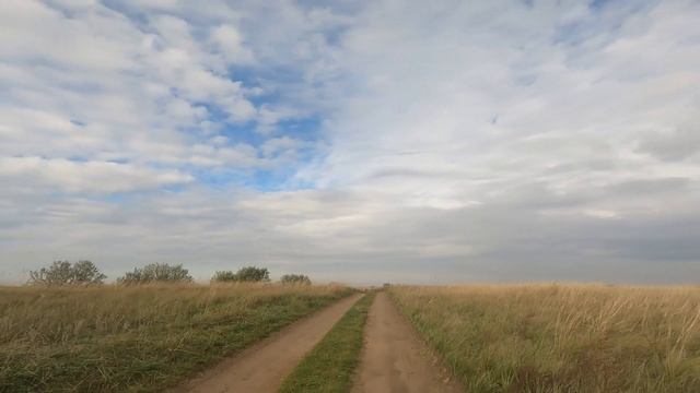 Волшебница Осень.😊