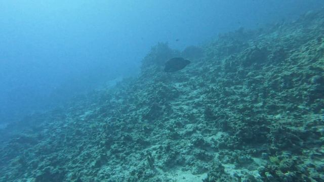 Часть 4 Domina отель Diving и спа элезир