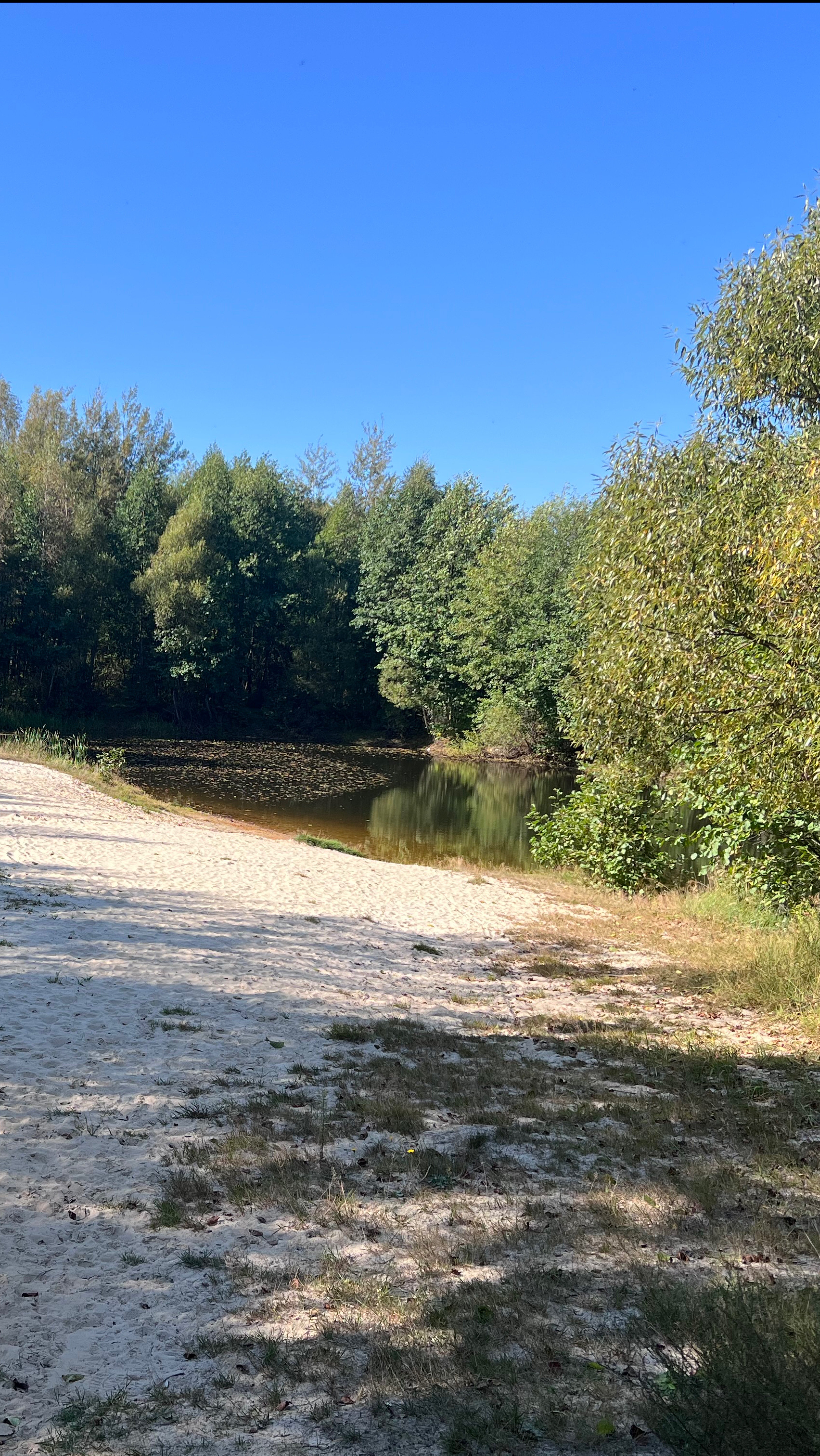 Красота природы в д. Слободище Орехово-Зуевский городской округ