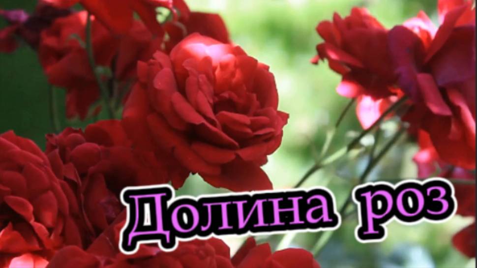 Долина роз! Кисловодск!