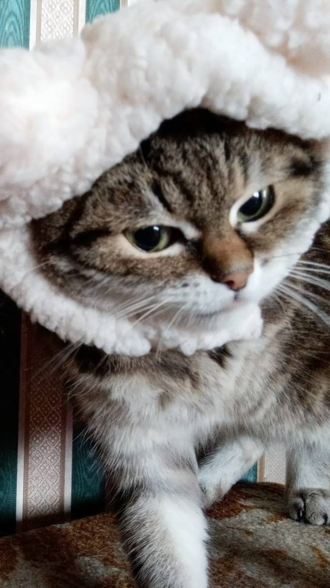 Космос в шапочке