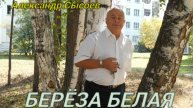 Александр Сысоев БЕРЁЗА БЕЛАЯ