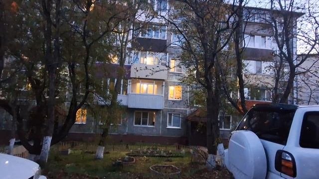 8.10.25. Утром -1.Вечерняя прогулка.Холодно.Ждём снег🌨🌨🌨❄️❄️❄️