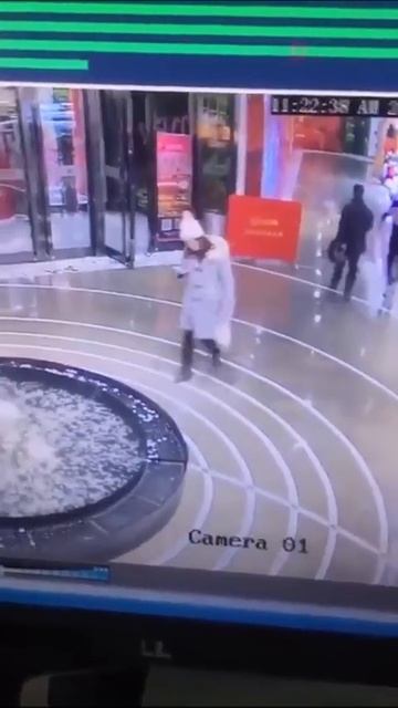 Прикольные видео