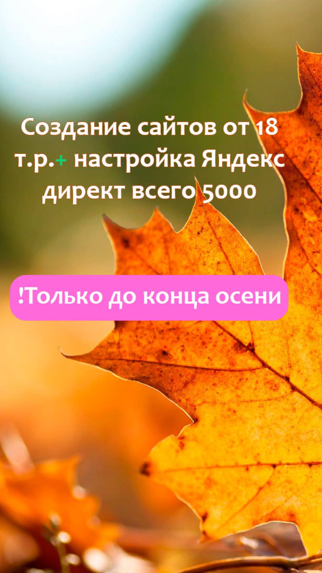 Акция! Держим цены на создание сайтов и рекламу до конца осени