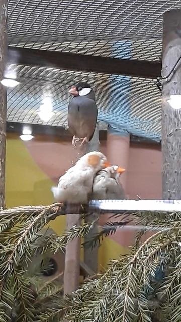 20240113_150753.mp4