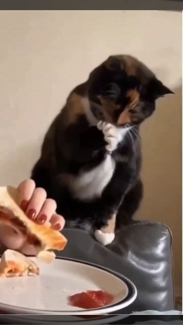 юмор
