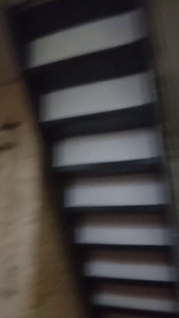 Я. Токих. Яблоко. Не видил??????
