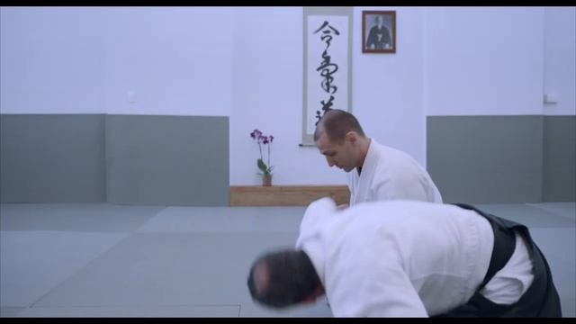 Leonardo Sodré - Shomen Ikkyo à Gokyo
