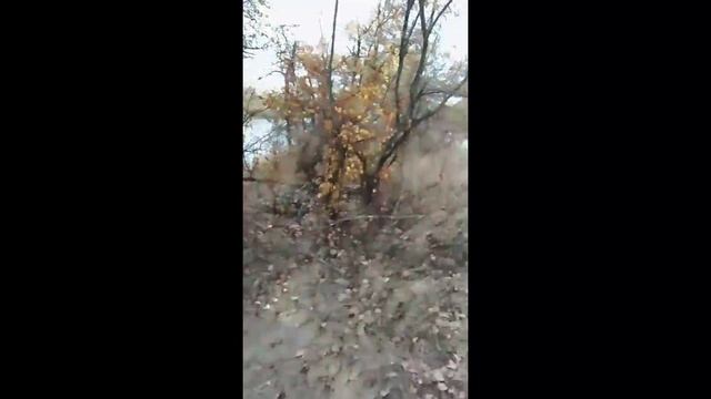 ЛЮБИТЕ ЖИЗНЬ