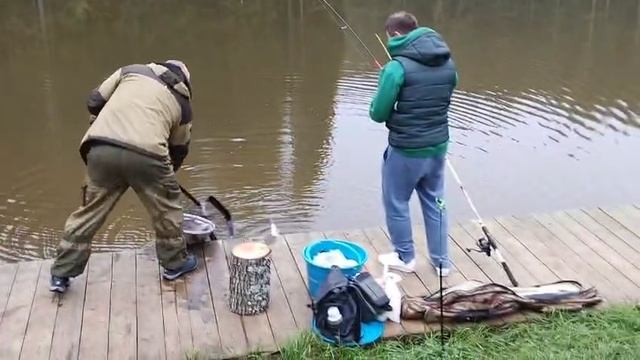 Forest Fishing 09.10.25