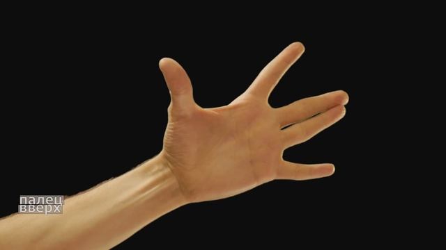 Пальчиковая разминка_1