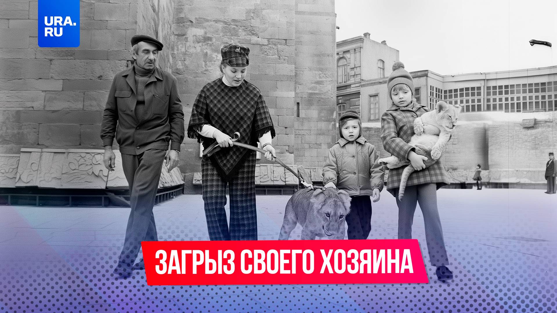 Как семья приручила льва – и поплатилась за это