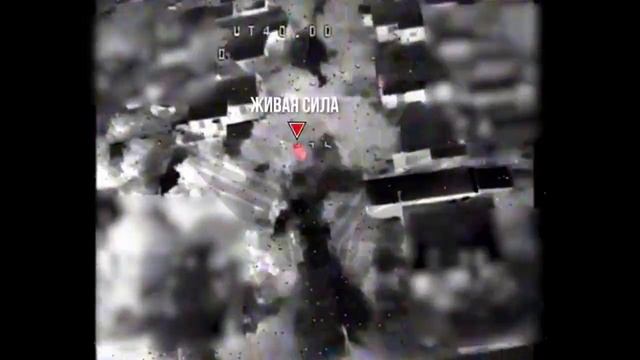 ⚡Сводка Минобороны РФ 9.10.25
💥Подразделения группировки войск «Север» нанесли поражение...🔽🔽🔽