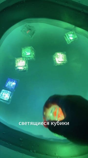 Арт. Wb #216754000
