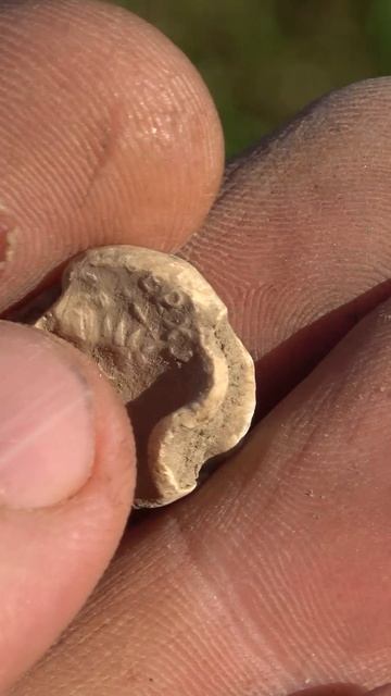 Неведомое нечто Старинная пломба #shorts #неведомое #нечто #стариннаяпломба  #metaldetecting
