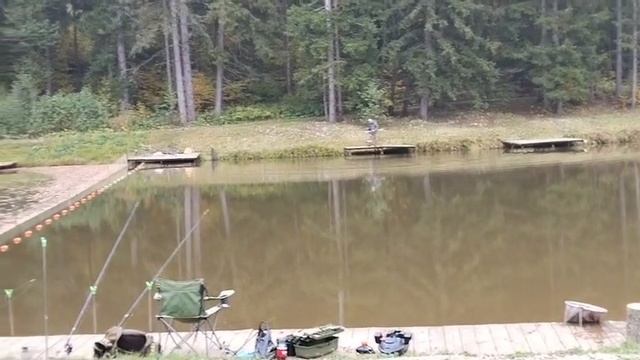 Forest Fishing 09.10.25