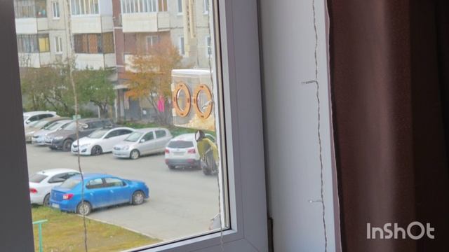 Кормушка. Серия 1 из 6. Смотреть до 6 серии!