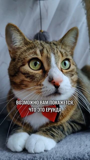 Они ранили мои чувства🥹