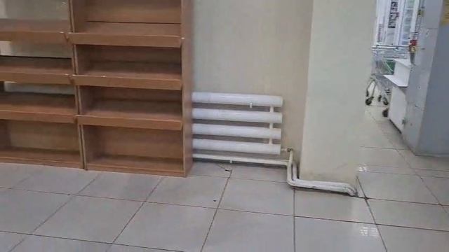 1000085062.mp4