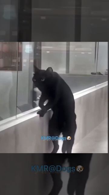 ЮМОР