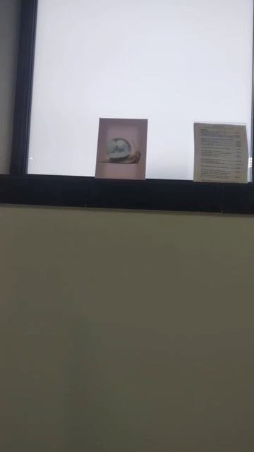 Студия Эталон в городе Ногинск