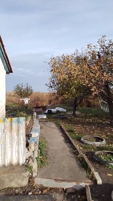 Потихоньку уничтожаю сорняки.
