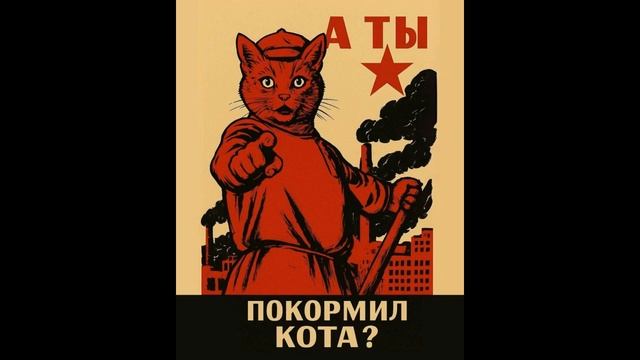 А Ты Покормил Кота ?!