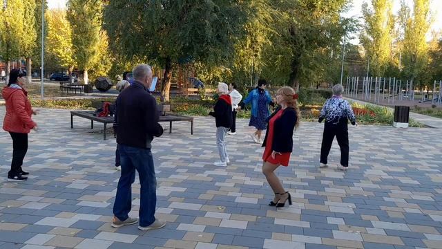 Расцвела Герань