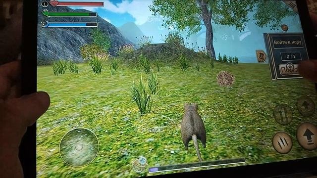 1000000367.mp4