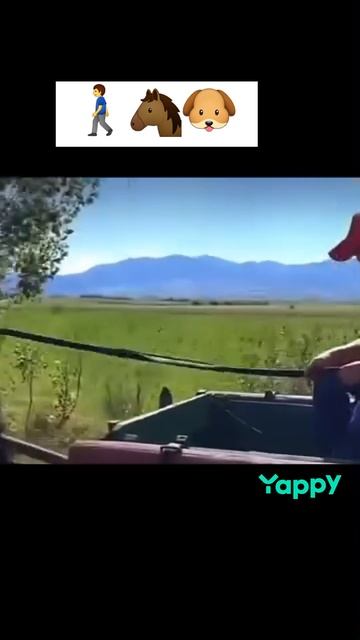 #юмор, #смешно, #смешное, #веселоиспользовать #fyp, #foryou, #foryoupage и #funnyvideos. #юмор, #сме
