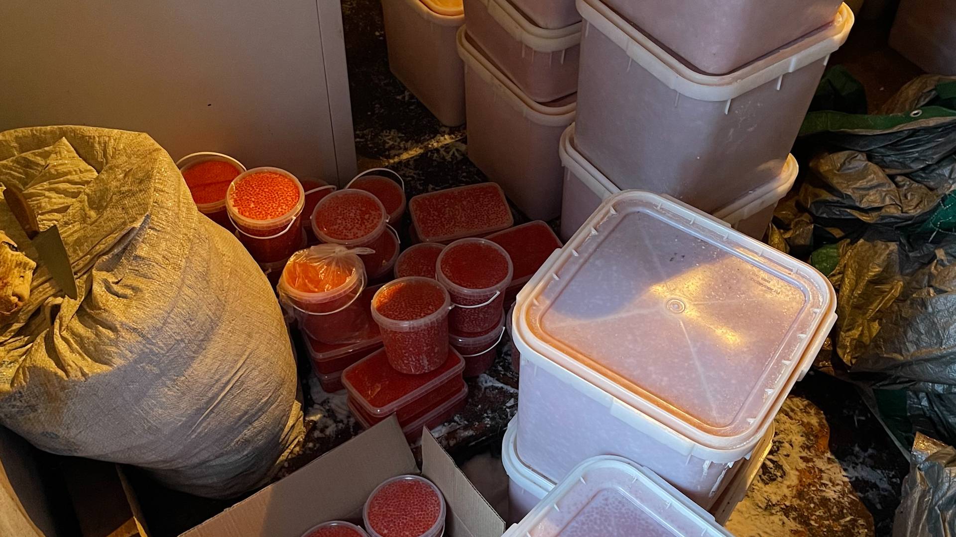 БРАКОНЬЕРСКИЙ БИЗНЕС