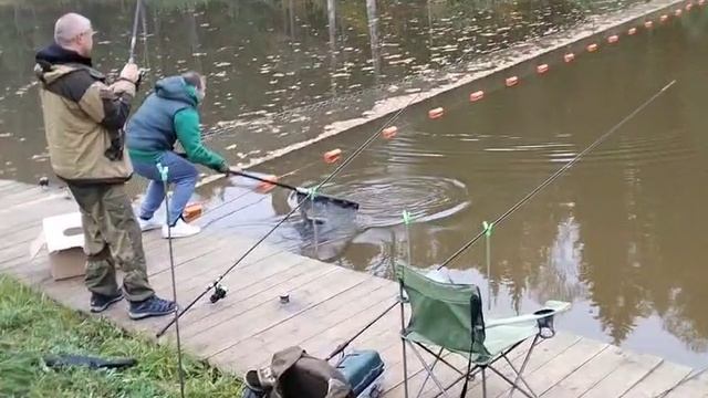 Forest Fishing 09.10.25