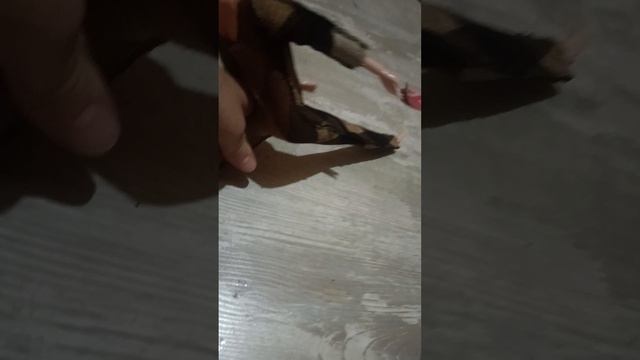 Воздушная гимнастика