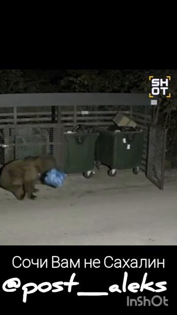 Сочи Вам не Сахалин https://t.me/post_aleks/85/6218