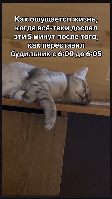09-10-2025