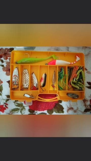 Мой рыболовный скарп для ловли хищной рыбы на Спиннинг