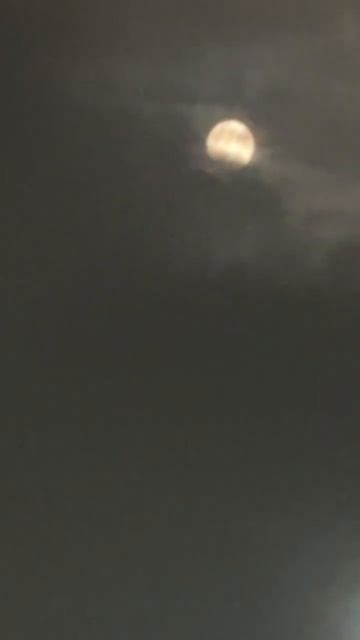 Наблюдаем «одно из самых красивых» полнолуний в 2025 году 🌓 💫 👍