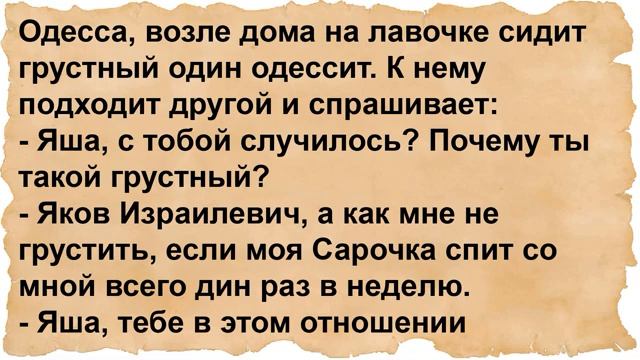 Про ветеринара и негритянку у гинеколога. Сборник анекдотов
