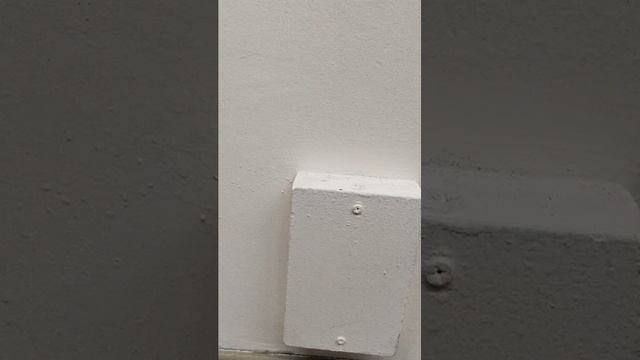 стрим в школе