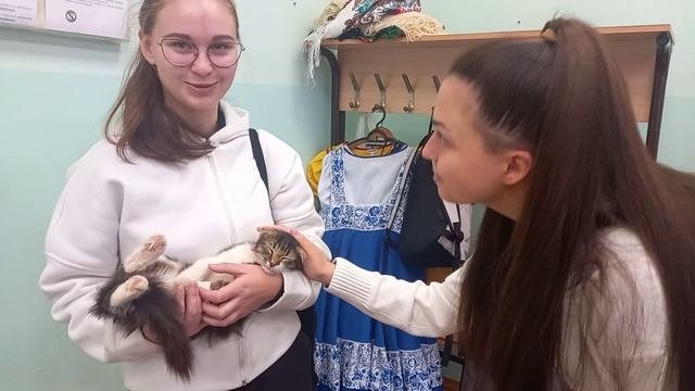 Наша Няша - соня...