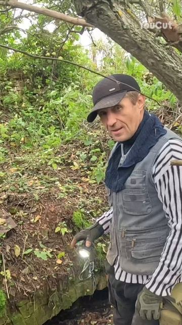 обзорчик