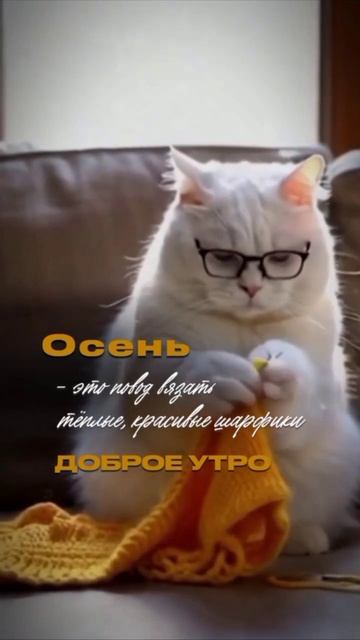 Доброе утро